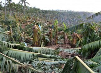 kozhikode farm loss