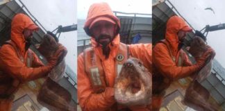 ഭീമൻ വായയും കൂർത്ത പല്ലും നീണ്ട ഉടലും; വിചിത്ര മൽസ്യത്തെ കണ്ട് അമ്പരന്ന് മൽസ്യ തൊഴിലാളികൾ