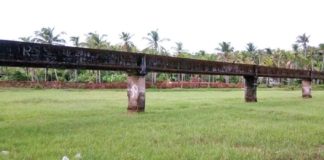 അഴിയൂർ ബ്രാഞ്ച് കനാൽ; 14 കിലോമീറ്ററോളം വെള്ളമെത്തി adiyur-kanal