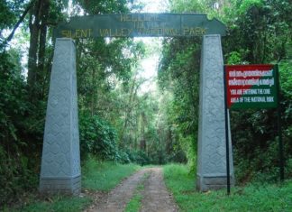 silent valley