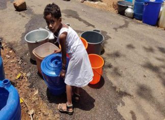 wayanad high temperature