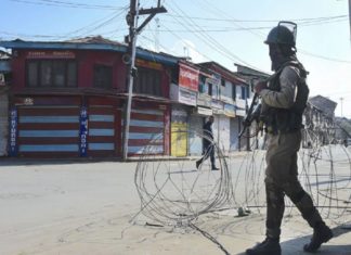 Terrorist Killed In Encounter In Jammu And Kashmir's Shopian