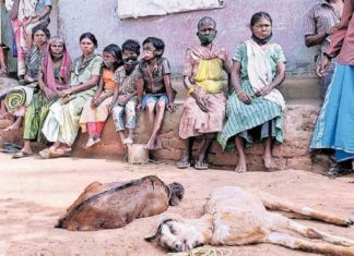 wayanad pennad project