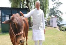 പശു ഇന്ത്യൻ സമ്പദ്വ്യവസ്ഥയുടെ അടിത്തറ; ഗുജറാത്ത് ഗവര്ണര് acharya devvrat