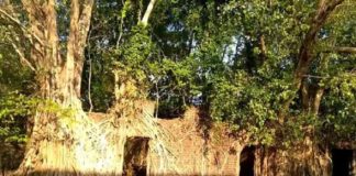 Policlicks_Ponnani Art Exhibition at Ponnani