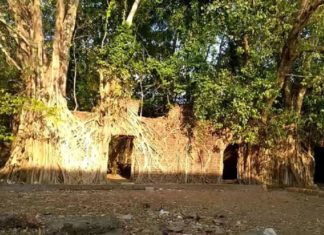 Policlicks_Ponnani Art Exhibition at Ponnani