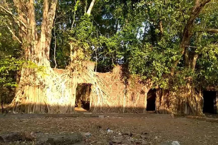 Policlicks_Ponnani Art Exhibition at Ponnani Policlicks_Ponnani Art Exhibition at Ponnani