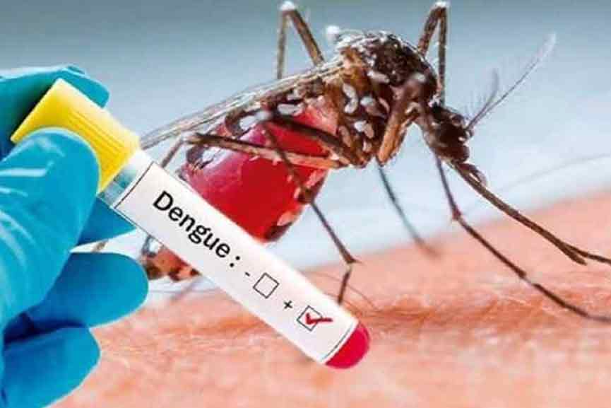 Dengue-fever Dengue-fever