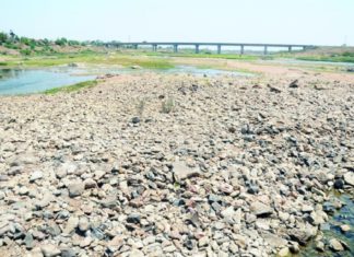 വേനല് കടുക്കുന്നു; വരള്ച്ചയുടെ വക്കില് മലയോരം summer_kannur
