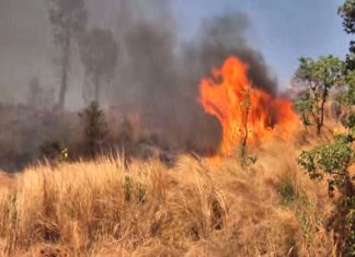 മങ്കട മലയിൽ വൻ തീപിടിത്തം; ഹെക്ടറോളം പ്രദേശത്ത് തീ പടർന്നു Forest Fire