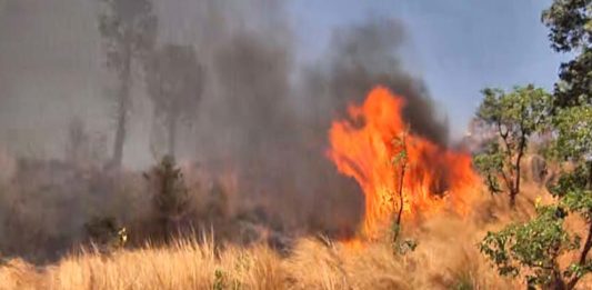 മങ്കട മലയിൽ വൻ തീപിടിത്തം; ഹെക്ടറോളം പ്രദേശത്ത് തീ പടർന്നു Forest Fire
