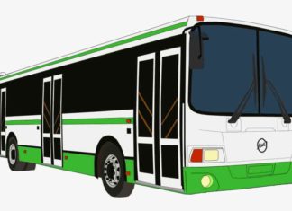 Bus