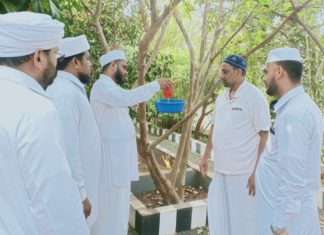 SYS Summer Water Bowl for Birds