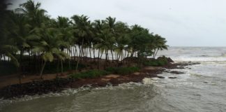 സഞ്ചാരികളുടെ മനം കവർന്ന് കടലുണ്ടിക്കടവ് അഴിമുഖം kadalundikkadav