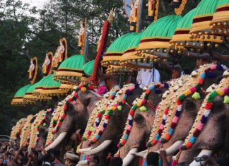 തൃശൂർ പൂരം; സർക്കാർ അനുവാദത്തോടെ നടത്തുമെന്ന് ജില്ലാ കളക്ടർ thrissur pooram