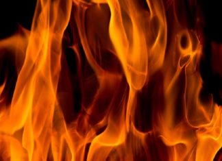 മണിയൂരിൽ അര ഏക്കറോളം കാട് കത്തിനശിച്ചു caught fire