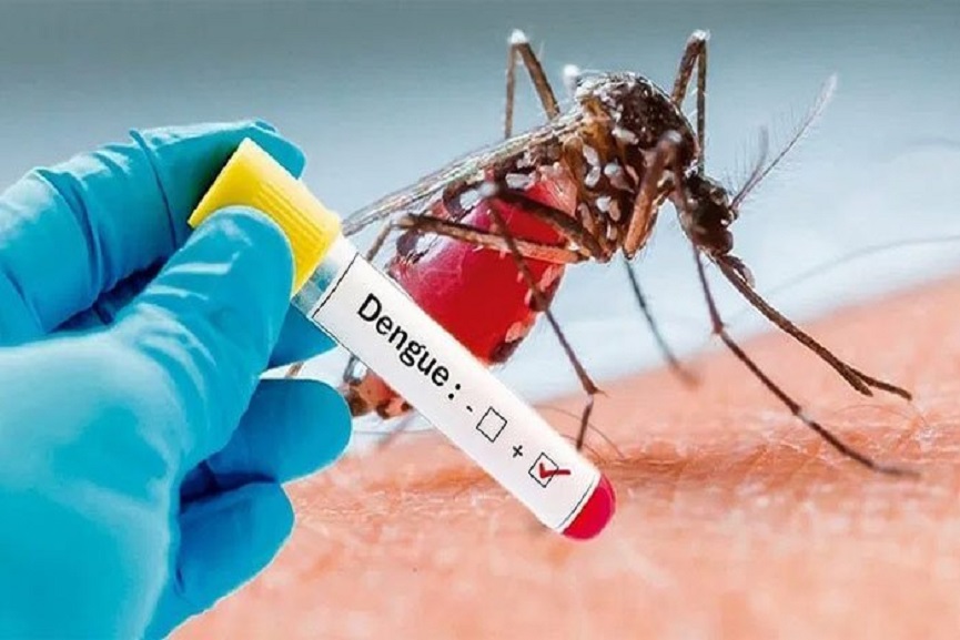 dengue fever dengue fever