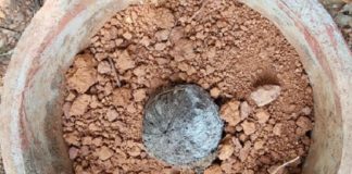 കതിരൂരിൽ നാടൻ ബോംബ് കണ്ടെത്തി; പരിശോധന വ്യാപിപ്പിക്കുമെന്ന് പോലീസ് bomb found