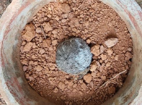 കതിരൂരിൽ നാടൻ ബോംബ് കണ്ടെത്തി; പരിശോധന വ്യാപിപ്പിക്കുമെന്ന് പോലീസ് bomb found