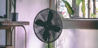 fan-kerala