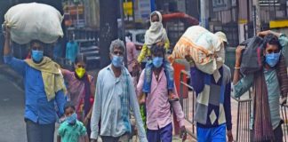 เดเดคเดฐ เดธเดเดธเตโเดฅเดพเดจ เดคเตเดดเดฟเดฒเดพเดณเดฟเดเตพเดเตเดเต เดตเดพเดเตโเดธเดฟเดจเตเดทเตป; เดจเดเดชเดเดฟเดเตพ เดเดฐเดเดญเดฟเดเตเดเต