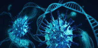 ഭീതി പരത്തി ദക്ഷിണാഫ്രിക്കൻ വകഭേദം; കൂടുതലും പാലക്കാട്