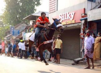 palakkad horse race