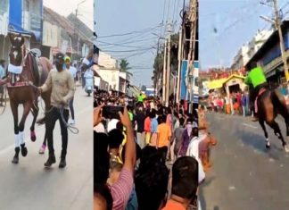 പാലക്കാട് കുതിരയോട്ടം; കമ്മിറ്റിക്കാരായ എട്ടുപേരെ അറസ്റ്റ് ചെയ്തു