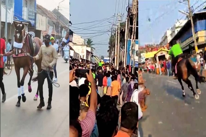 MalabarNews_horse ride in palakakd