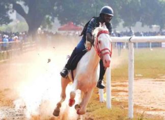 കോവിഡ് നിയന്ത്രണം ലംഘിച്ച് കുതിരയോട്ട മൽസരം; സംഘാടകർക്ക് എതിരെ കേസ് horse riding