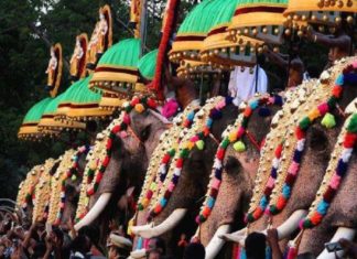 ‘ആന എഴുന്നള്ളിപ്പ് അനിവാര്യമായ മതാചാരമല്ല; ദേവസ്വങ്ങൾ പിടിവാശി ഉപേക്ഷിക്കണം’