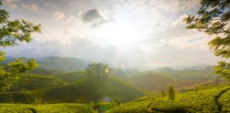 munnar_hills_kerala_