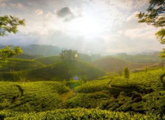 munnar_hills_kerala_