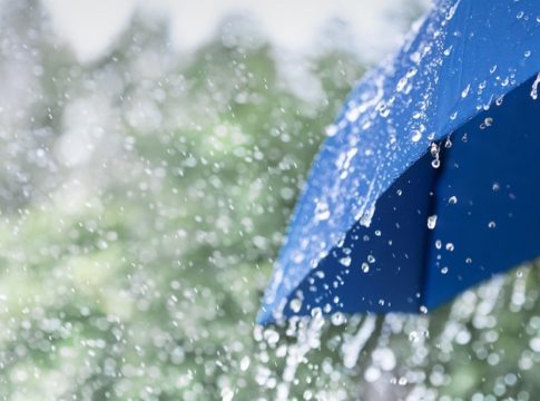 കാലവർഷം ദുർബലം; സംസ്ഥാനത്ത് 15ന് ശേഷം മഴ ശക്തമായേക്കും no-rain-kerala