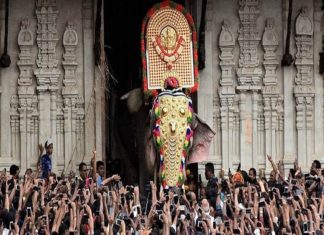 thrissur pooram