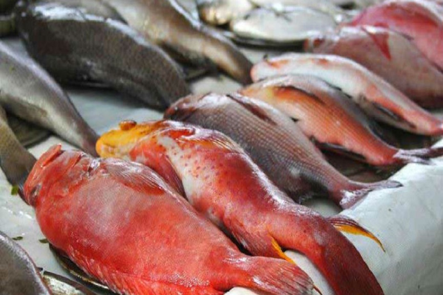 malappuram news malappuram news