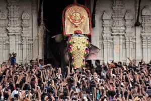 thrissur pooram