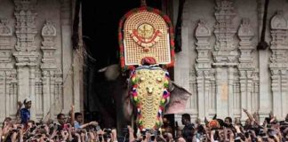 thrissur pooram