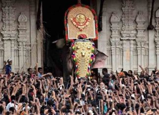 തൃശൂർ പൂരം; ഇടപെട്ട് ഹൈക്കോടതി- ആനകളുടെ ഫിറ്റ്നസ് സർട്ടിഫിക്കറ്റ് ഹാജരാക്കണം thrissur pooram