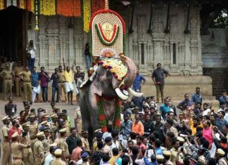 Thrissur Pooram
