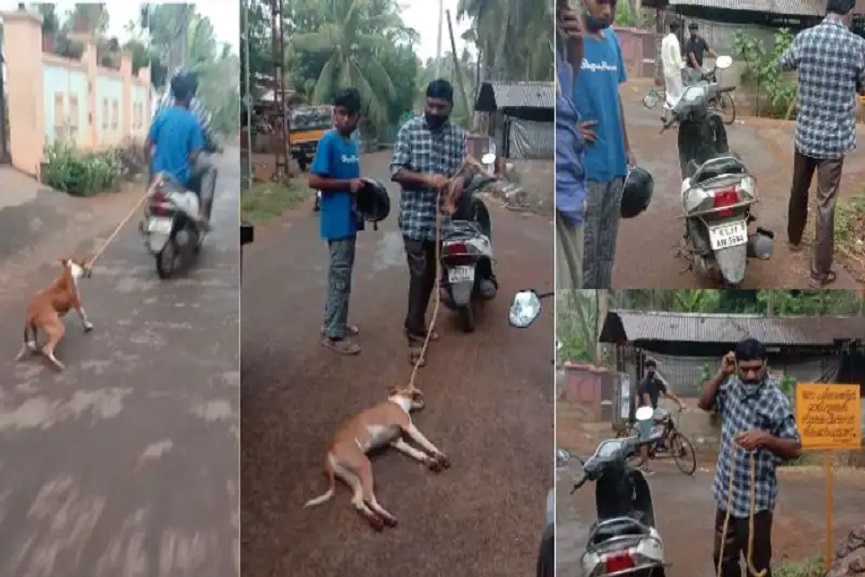 MalabarNews_malappuram news