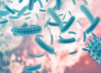 മലപ്പുറത്ത് നാല് വിദ്യാർഥികൾക്ക് ഷിഗല്ല സ്ഥിരീകരിച്ചതായി ആരോഗ്യവകുപ്പ് Shigella