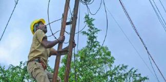 വനമേഖലയിൽ ഇനി വൈദ്യുതി മുടങ്ങില്ല; കെഎസ്ഇബിയുടെ അഭിമാന പദ്ധതി പൂർത്തിയായി