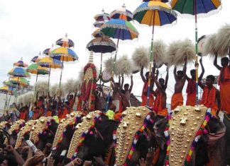 തൃശൂർ പൂരത്തിന് കൂടുതൽ നിയന്ത്രണങ്ങൾ; സർക്കാരിന് എതിരെ ദേവസ്വങ്ങൾ thrissur-pooram