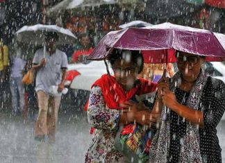 സംസ്ഥാനത്ത് ഇന്നും മഴയ്ക്ക് സാധ്യത; വയനാട്ടിൽ യെല്ലോ അലർട്ട്