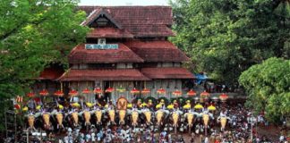 thrissur pooram