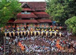 thrissur pooram