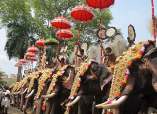 പൂരപ്പറമ്പിൽ കാണികൾ വേണ്ട, സംഘാടകർ മാത്രം മതി; തൃശൂർ പൂരം കർശന നിയന്ത്രണങ്ങളോടെ