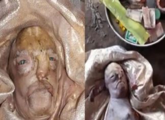 മനുഷ്യ സമാനമായ മുഖത്തോടെ ജനിച്ച ആട്ടിൻകുട്ടി; ദൈവമായി കണ്ട് ആരാധിച്ച് ഒരു ഗ്രാമം baby_goat_with_human_face