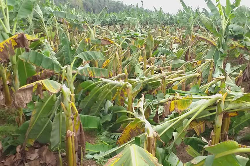 rain caused destruction